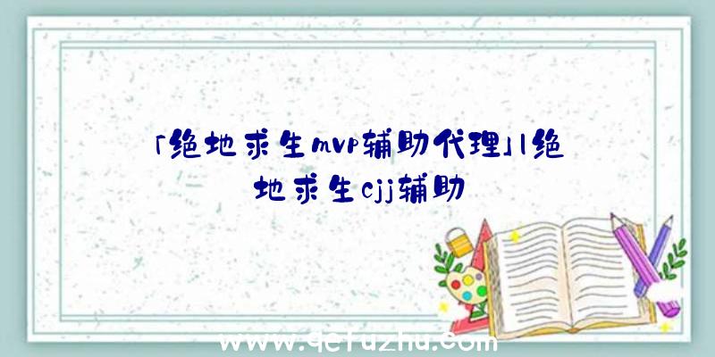 「绝地求生mvp辅助代理」|绝地求生cjj辅助